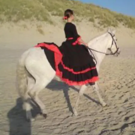 Appartement La Loge Royale